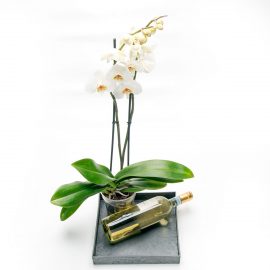 Belle Fleur geschenk Orchidee white wine